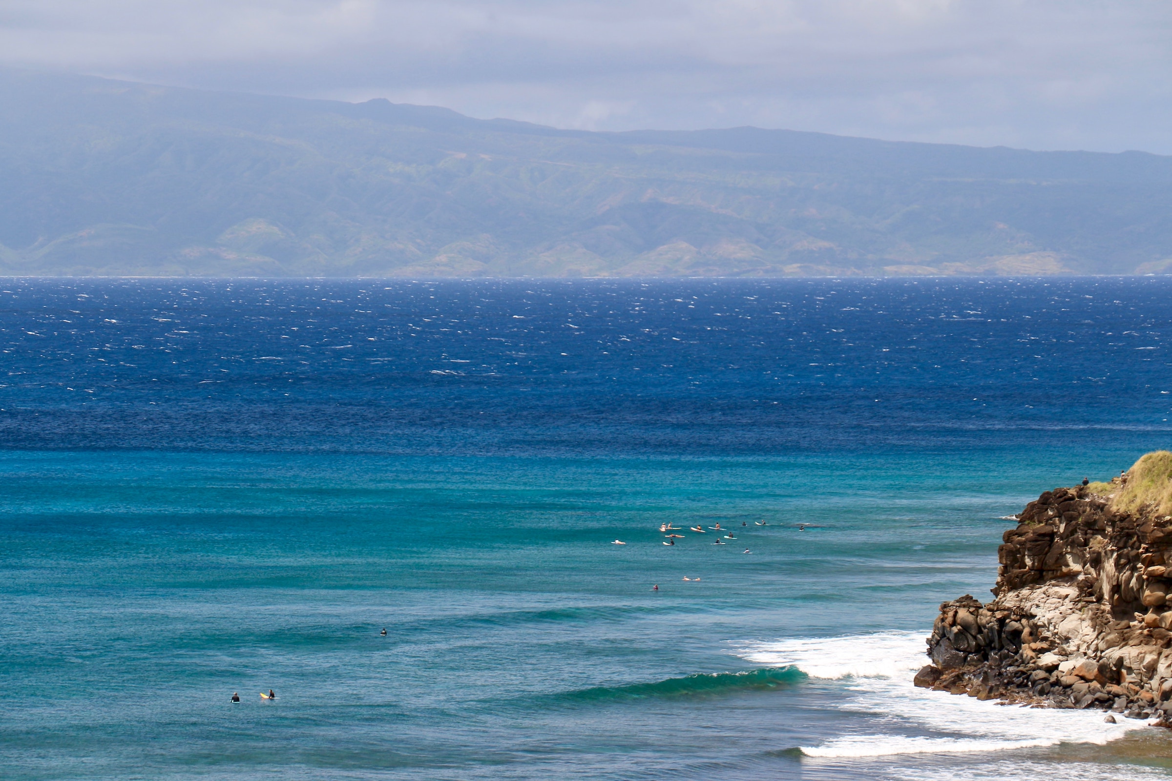 Shark Attacks In Maui Ocean Photo